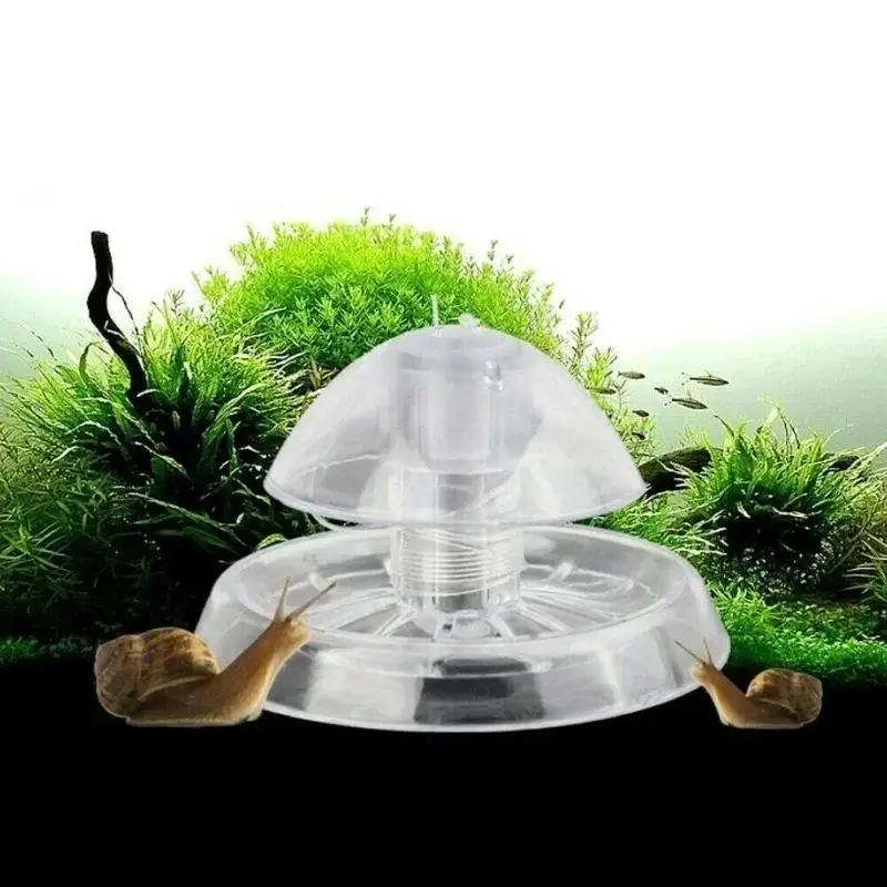 Planted Aquarium With Fish - 2026 Nowa przezroczysta plastikowa pułapka na