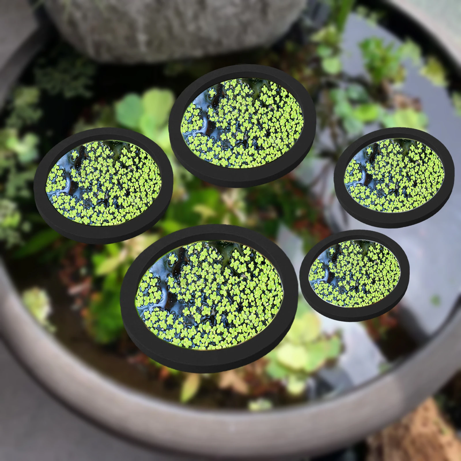 Planted Aquarium With Fish - 5Pcs EVA Pierścień do karmienia ryb
