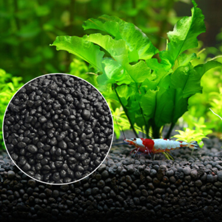 Planted Aquarium With Fish - Roślina akwariowa nasiona gleba akwarium podłoże