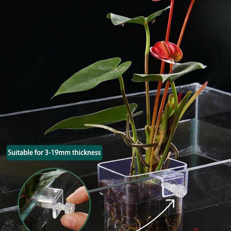 Planted Aquarium With Fish - Wielofunkcyjny akwarium dla ryb kubek do