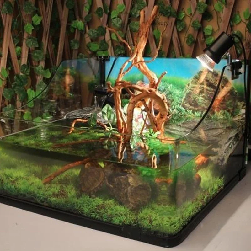 Planted Aquarium Making - Naturalny tron drzewa, drewno pływające, akwarium,
