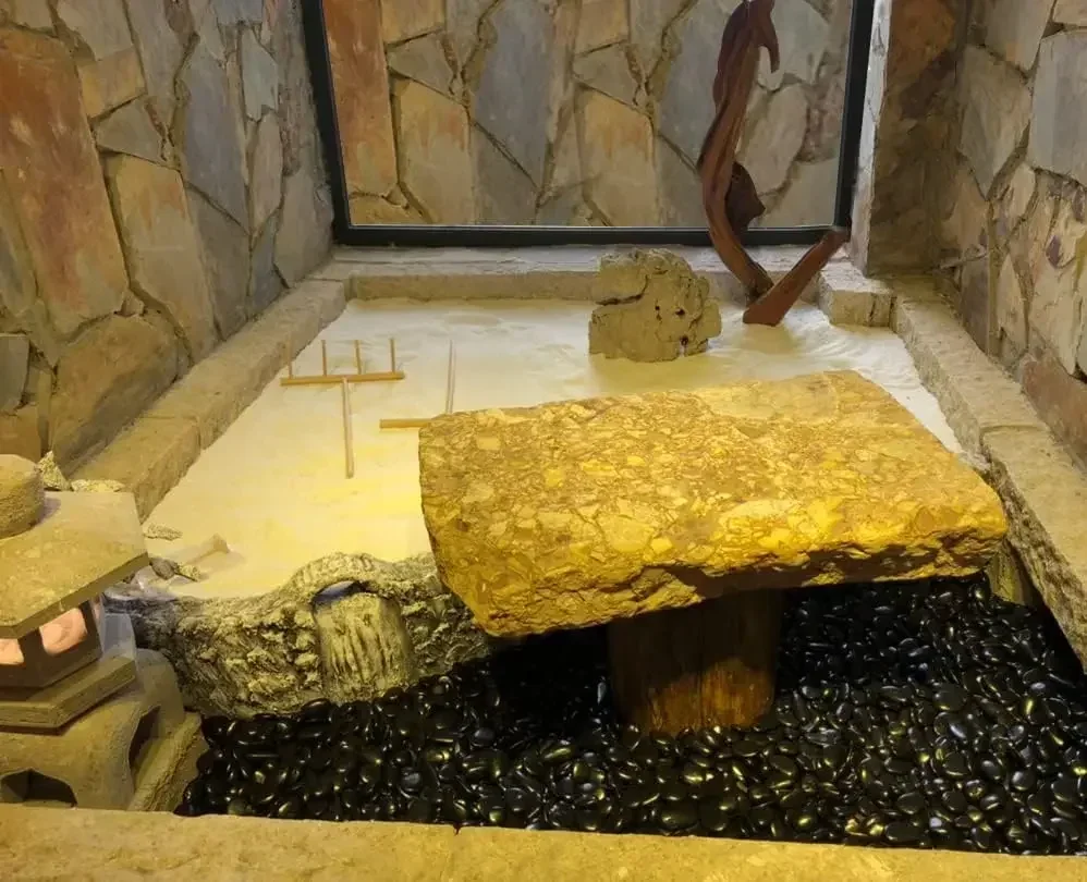 40 funtów czarnych kamieni rze – Planted Aquarium With Fish recenzja i cena