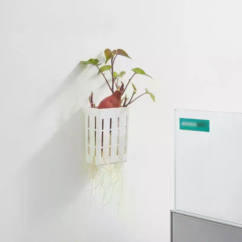 1 szt. Koszyk wspierający do h – Planted Aquarium With Fish recenzja i cena