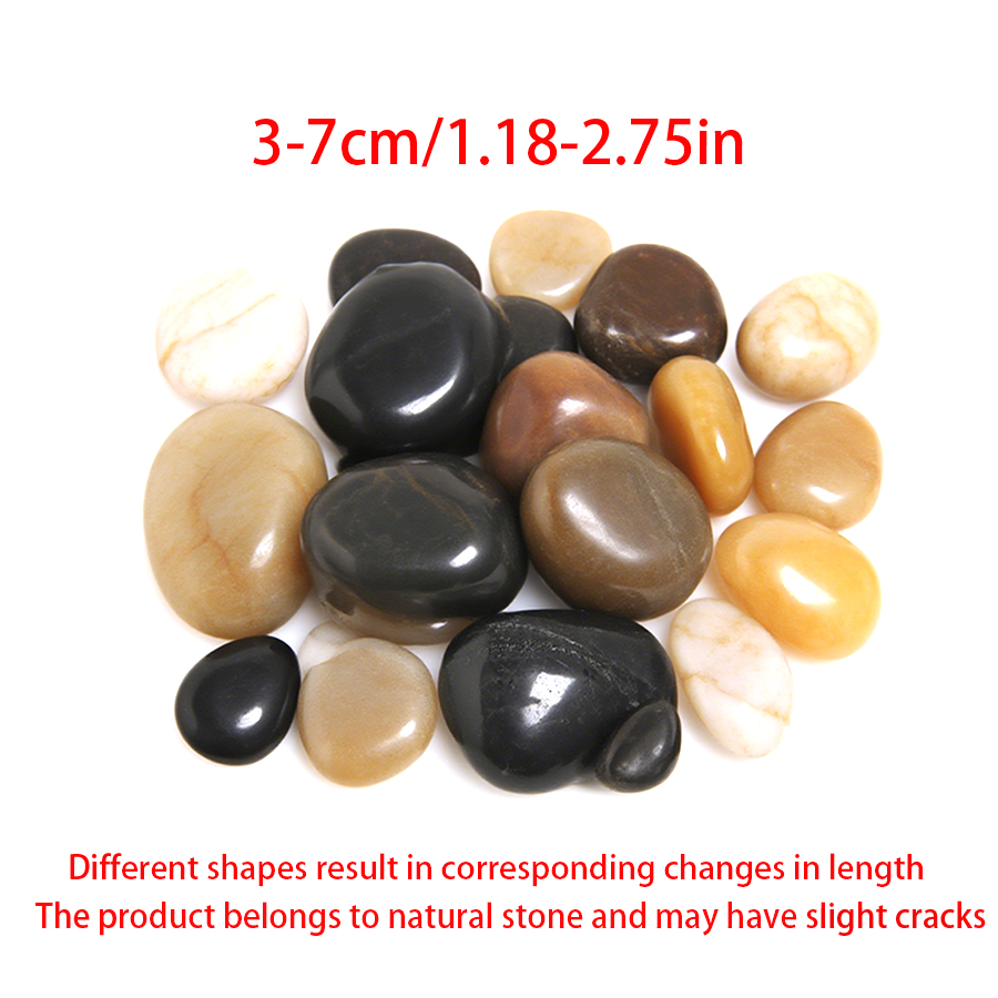 300-700g Gładkich Kamieni Rzec – Planted Aquarium With Fish recenzja i cena