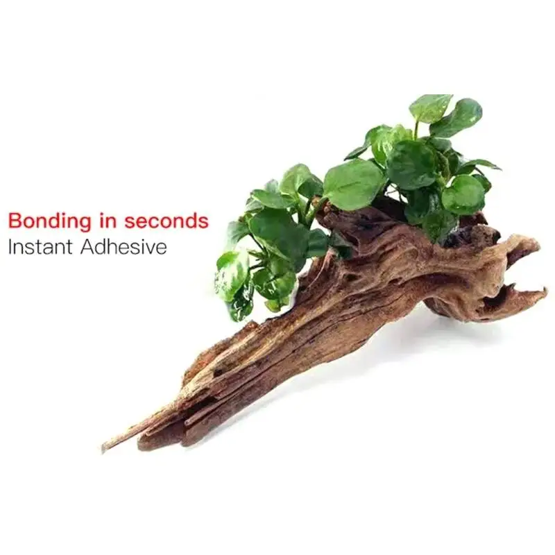 2 SZT. 5 SZT. /3/ Przezroczyst – Planted Aquarium With Fish recenzja i cena