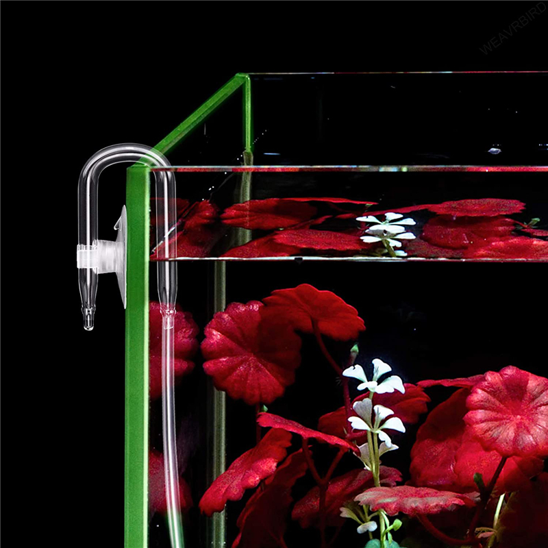 Akwarium w kształcie litery U  – Planted Aquarium Accessories recenzja i cena