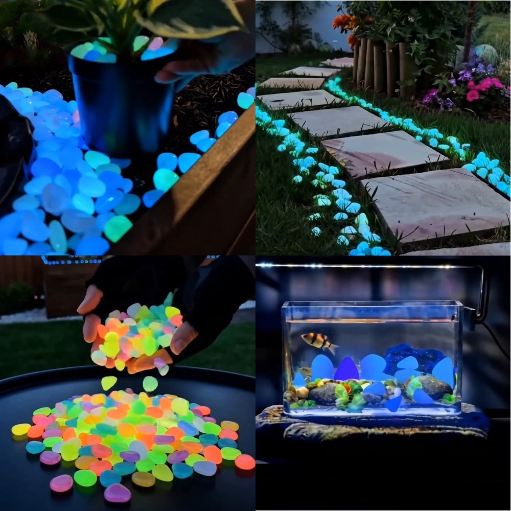 Kolorowe, świecące w ciemności – Planted Aquarium With Fish recenzja i cena