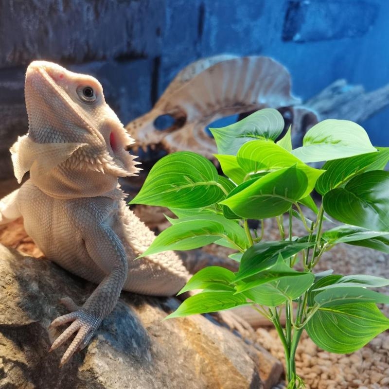 Sztuczne wiszące ryby akwaria  – Planted Aquarium With Fish recenzja i cena