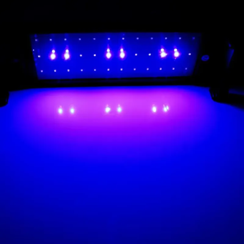 GAKO 11W ZJL-60A Popularny pro – Planted Aquarium Competition recenzja i cena