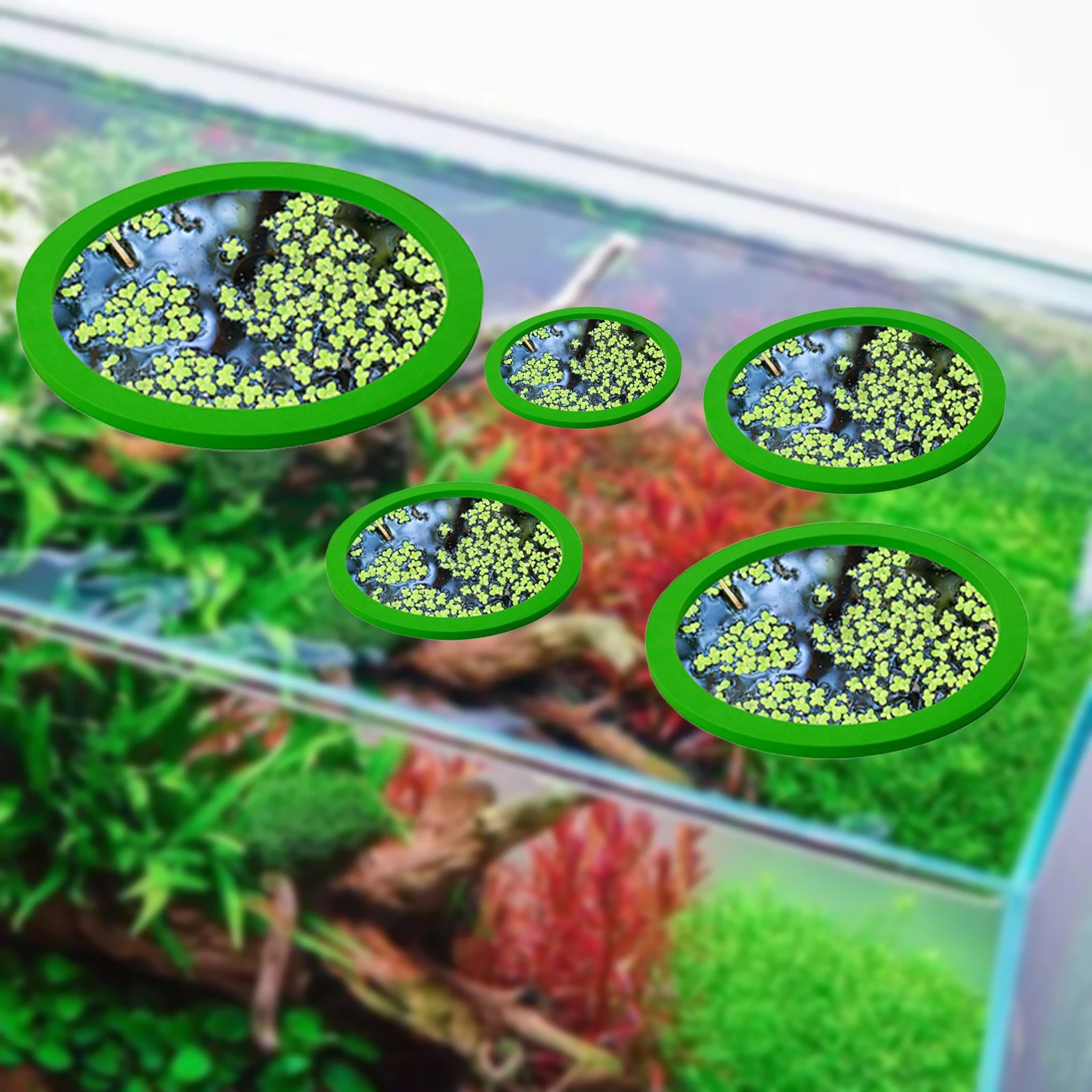 5Pcs EVA Pierścień do karmieni – Planted Aquarium With Fish recenzja i cena