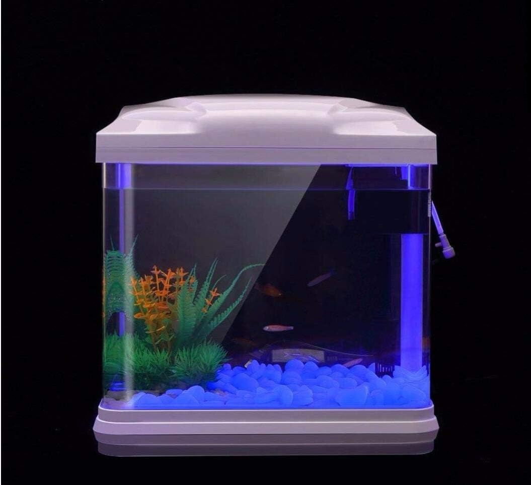 Fish Tank Rocks Glow Blue Pebb – Planted Aquarium With Fish recenzja i cena