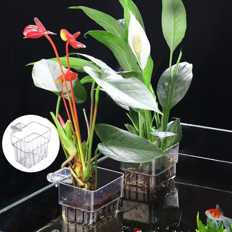 Wielofunkcyjny akwarium dla ry – Planted Aquarium With Fish recenzja i cena