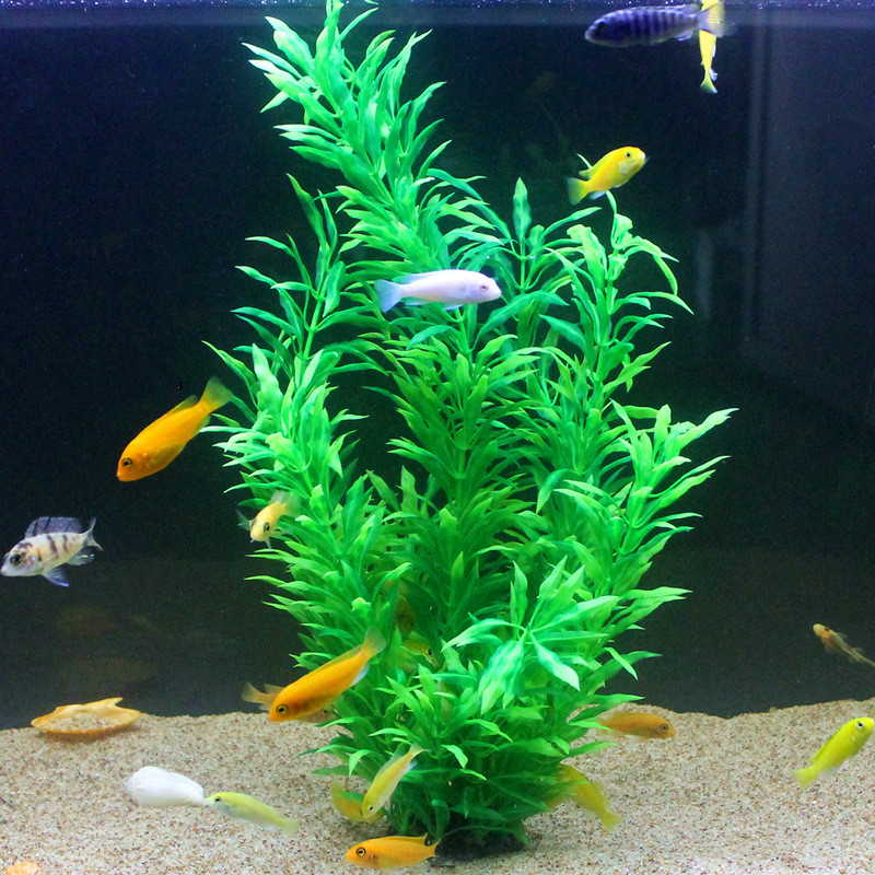 50CM sztuczne akwarium rzadkie – Planted Aquarium With Fish recenzja i cena